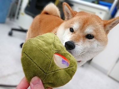 秋だね🍂