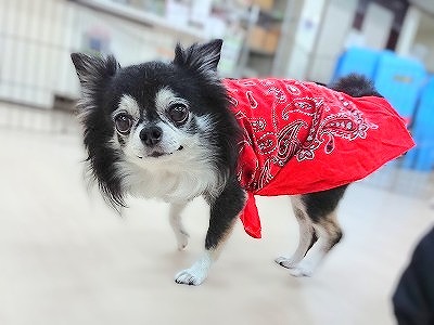 秋だね🍂