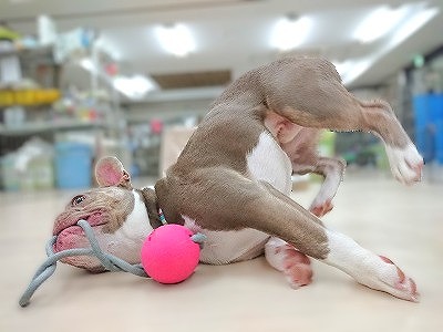 ヒップポップダンサー降臨✨
