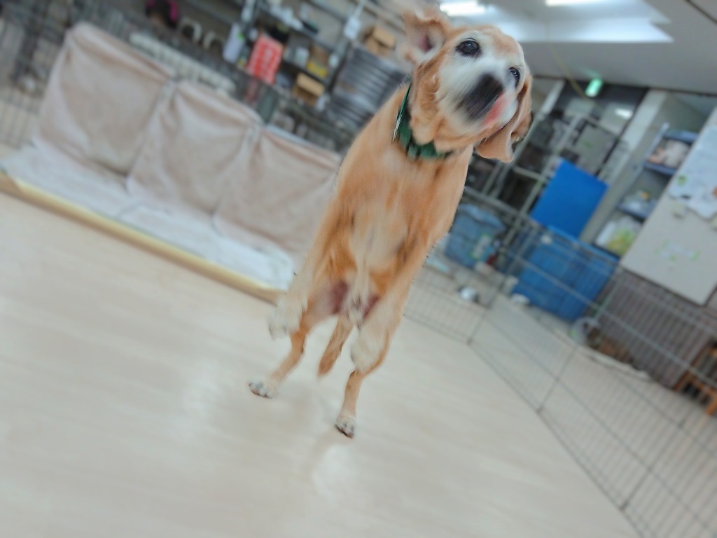 全集中！！