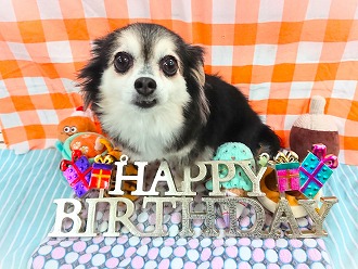 HAPPY BIRTHDAY🎉