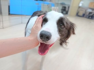 ギャップ萌え💖