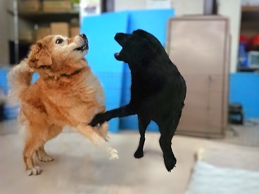 ビックリしたあああ❗❗❗