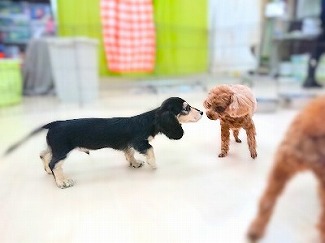 こんにちは🥺