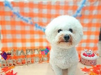 お誕生日おめでとう！！