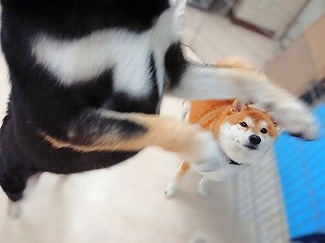 遠近法！