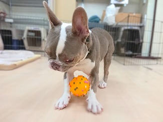 肘キャッチ🥎