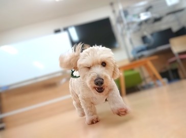 バチーーーーン😉