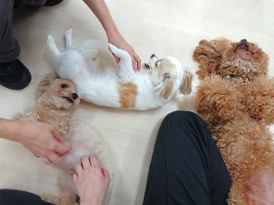 お昼寝の時間・・・？