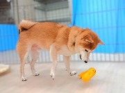 なんだね❗ちみは❗