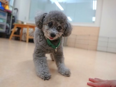 私でなきゃ見逃しちゃうね😏✨