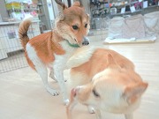 みんな友達！！