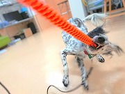 この迫力！！！！