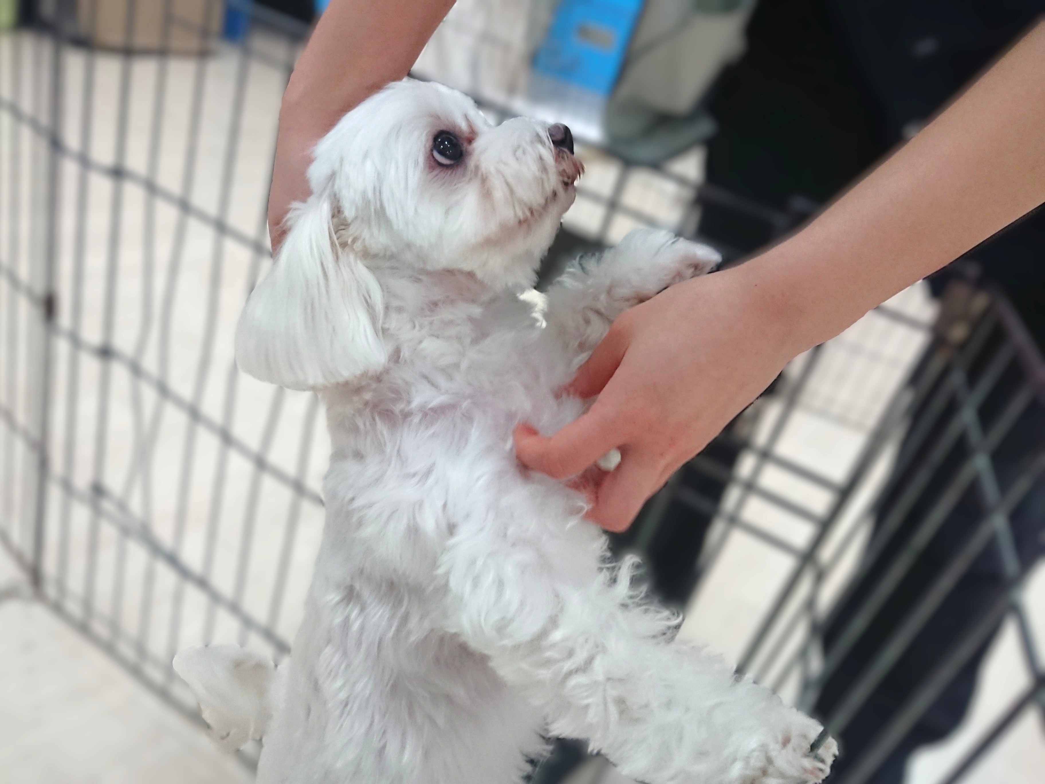 断れない！！！！