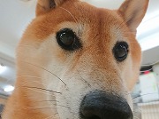 「イケてるでしょ？」