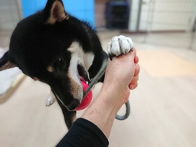 まだ遊びたい❗❗❗