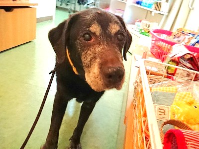 ショッピング👜