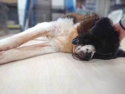 もっともっと！！