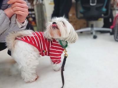 お尻アピール🍑