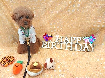 🎂HAPPYBIRTHDAY🎉