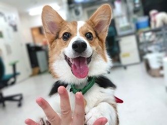 うれしさ爆発！！