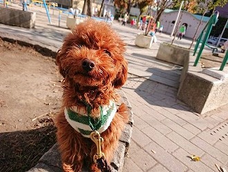 絶賛お勉強中！