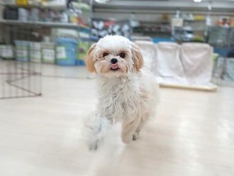 「まだまだ～！」