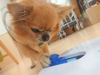 ここをこうすれば・・・