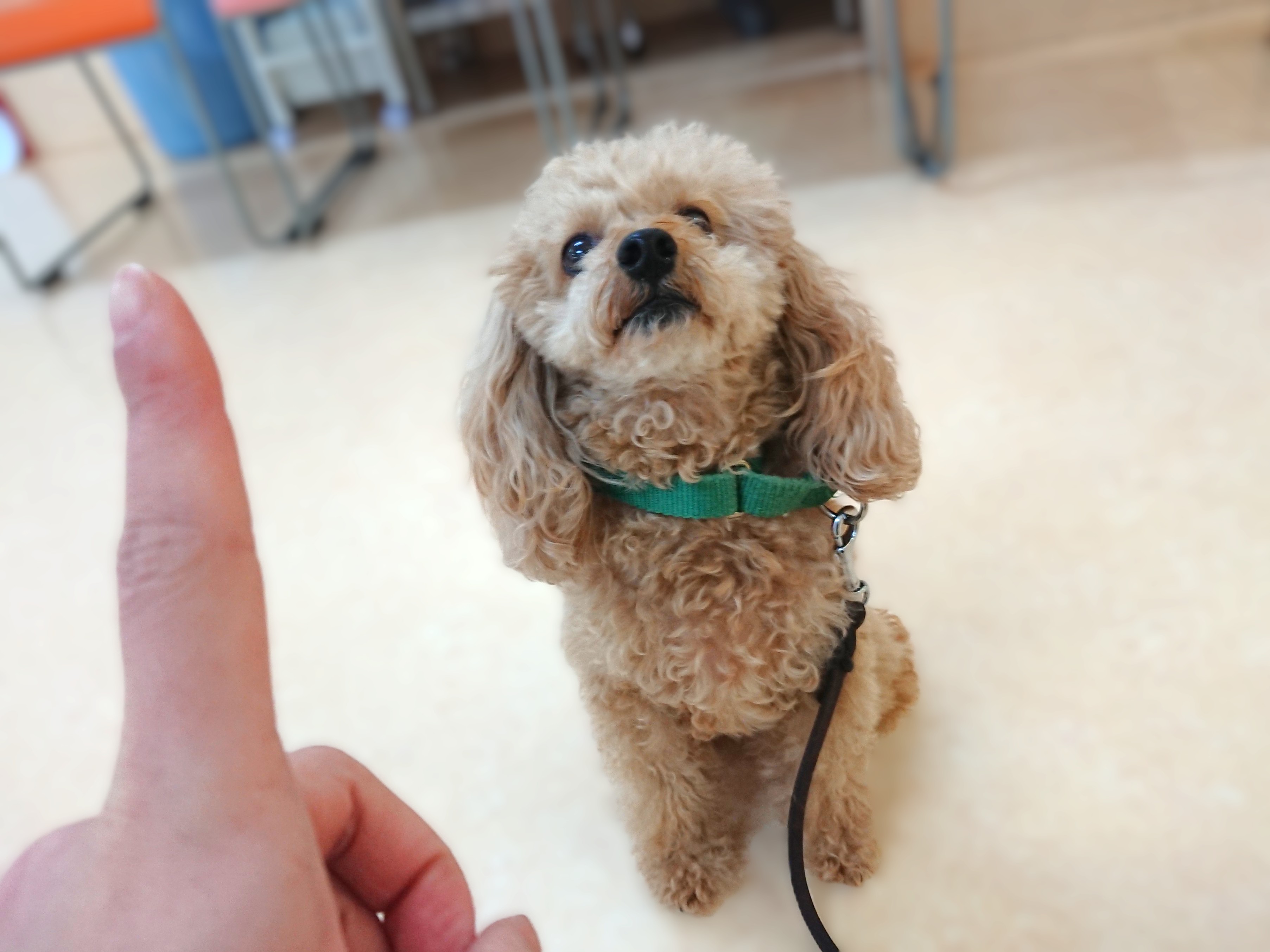 背筋ピーン！！