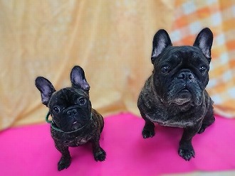 初めまして・・・？