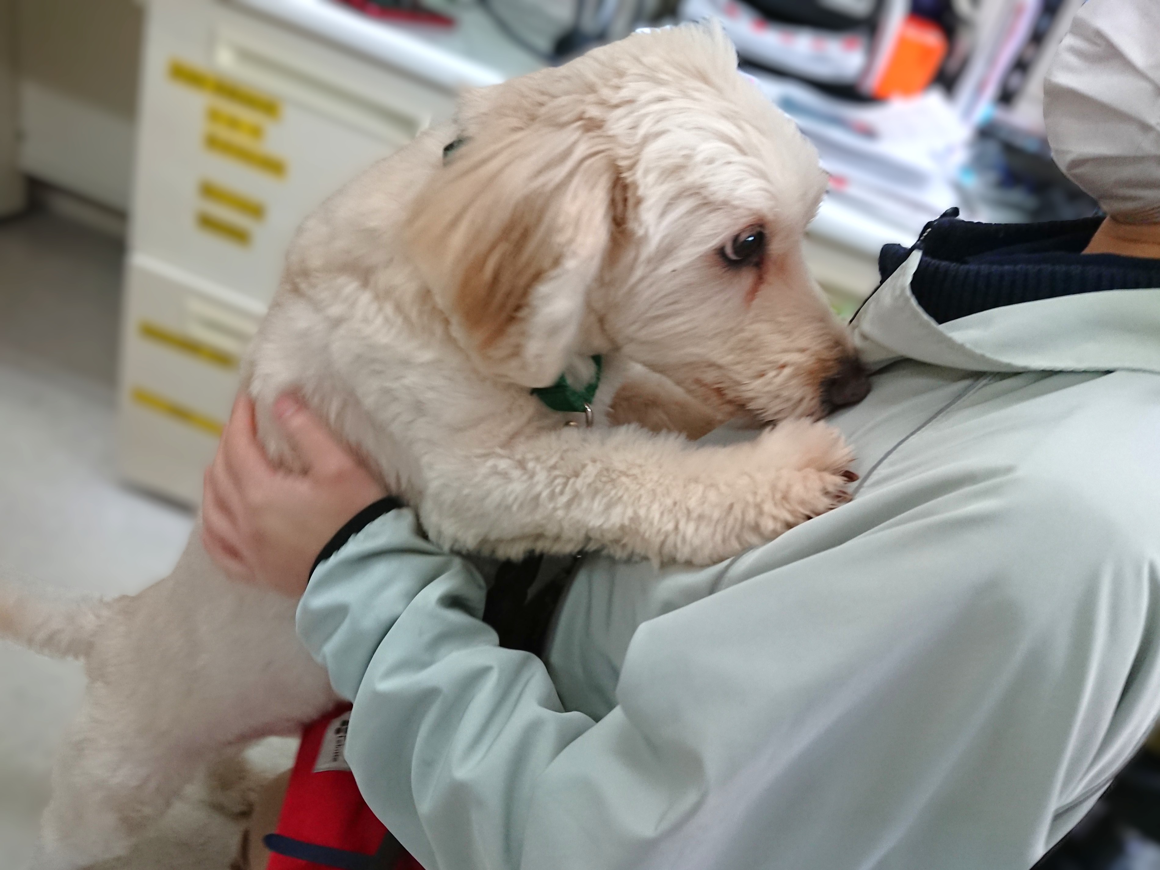 「このにおい...！」