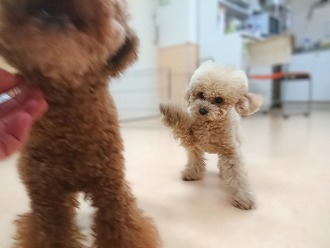 ちょいちょい✋