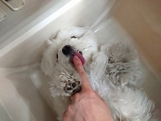 なでなでタイム✨