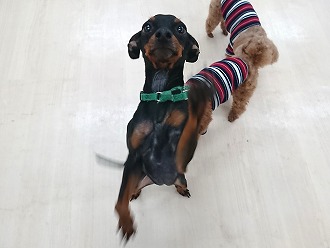 待ちきれない...!!