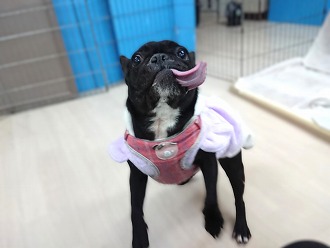 ごはんめがけて!!!