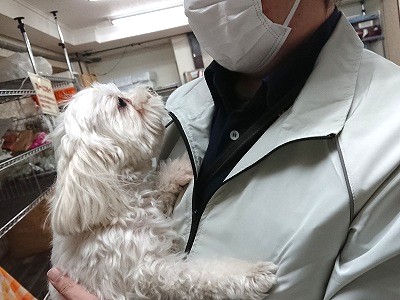 見つめ合う二人💕