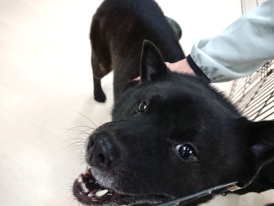 いいでしょ～！