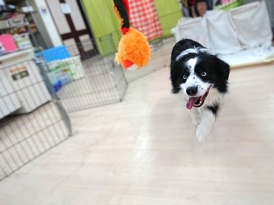 キャッチできたかな？？
