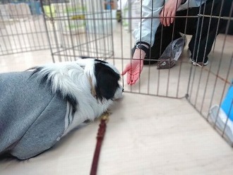 トレーニング中🐾
