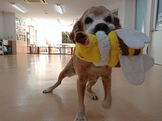 これあげるよ❗