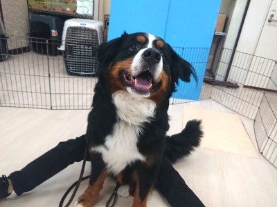 にょきにょきっ!