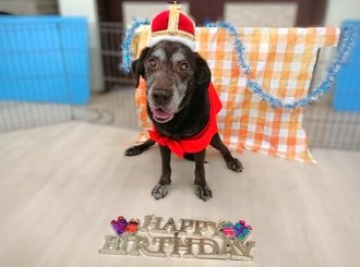 ハッピーバースデー!