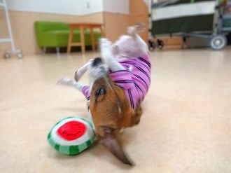 ブレイクダンス？！