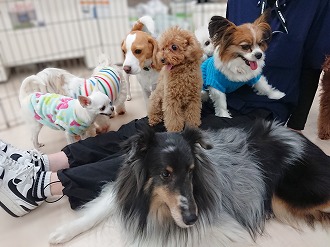 何人乗れるかな？