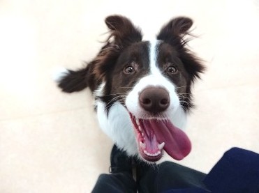 ウサギさん発見🤩