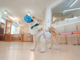 ドヤッッッ😏❗❗❗❗❗