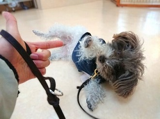 ばきゅ～ん🔫✨