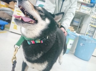 ん～～～～～🥰