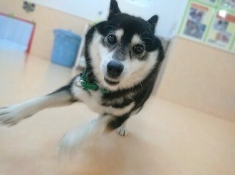 ついてこれるかな!?