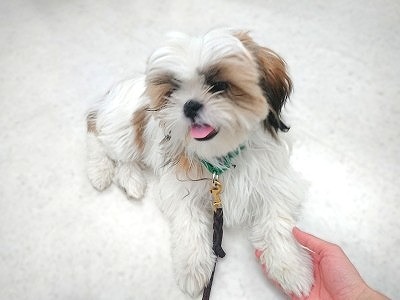 どうもどうも(^▽^)/